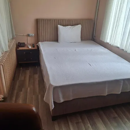 Petek Konya