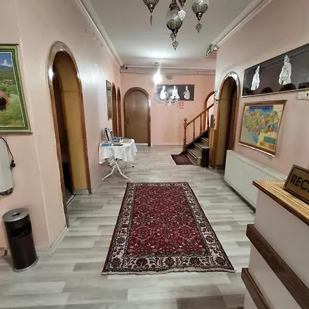 Petek Konya ホテル