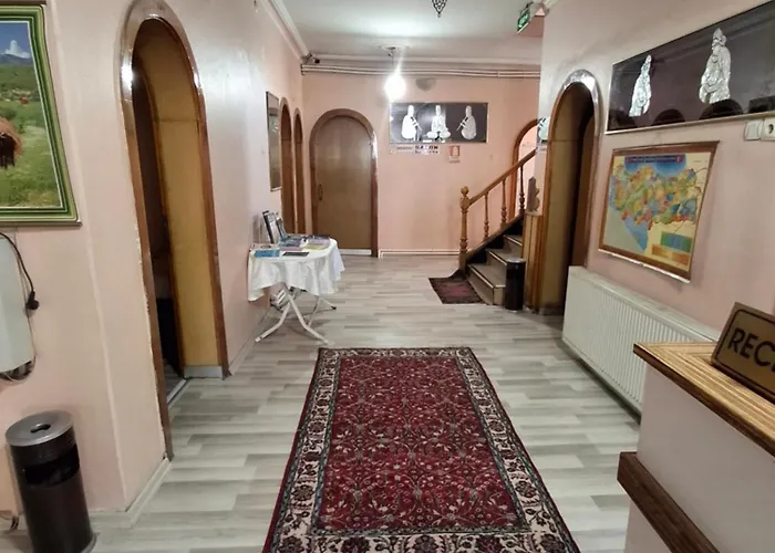 Petek Konya فندق